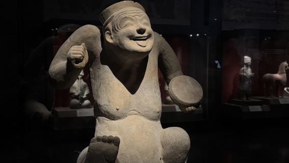 Tour di un giorno con servizio in inglese al Museo del Tempio di Wuhou a Chengdu, Museo del Sichuan, Ponte Jiuyan e Memoria della Periferia Orientale
