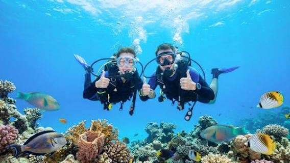 Intro diving for beginners and Red Sea cruise in Sharm El Sheikh