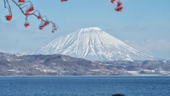 日本北海道函館【火山奇觀】大沼公園+洞爺湖+昭和新山包車遊