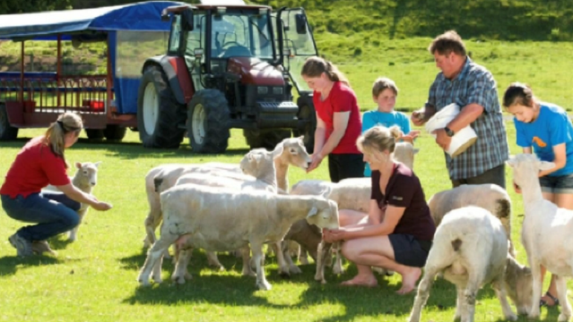 紐西蘭北島霍比特+愛歌頓農場一日遊【奧克蘭來回丨可選包車】