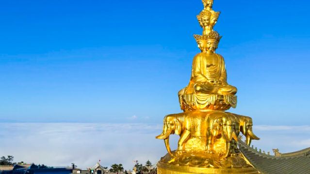 峨眉山半日遊【蜀人說專業導覽|觀雲海|佛光+景區深度漫遊】