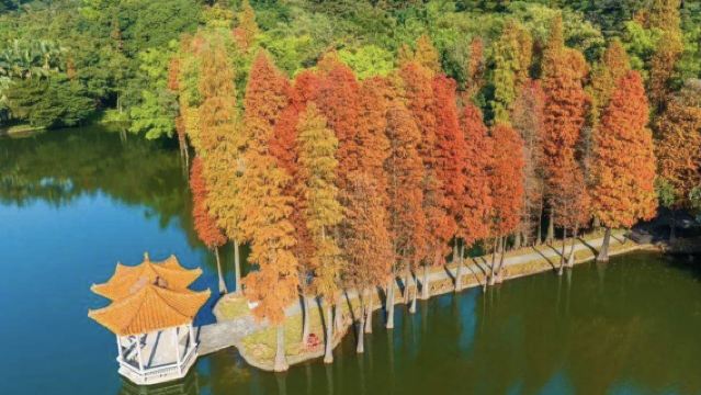 佛山南海西樵山+順德清暉園博物館+逢簡水鄉+華蓋路一日遊|包車遊上門接駁