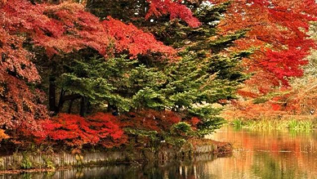 東京周邊定制：輕井澤雲湯池+千住博美術館【中文包車-上門接送