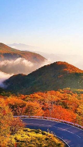 Tokyo Nikko world heritage tour | 1-day tour to Toshogu shrine + Lake Chūzenji + Kegon waterfalls