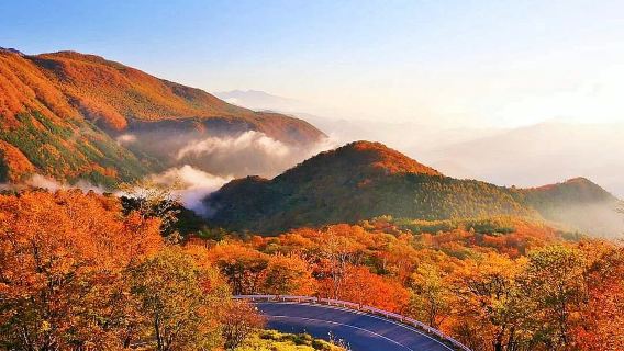 ทัวร์ 1 วัน มรดกโลกนิกโก้ โตเกียว: ศาลเจ้าทอโชกุ + ทะเลสาบชูเซ็นจิ + น้ำตกเคงง