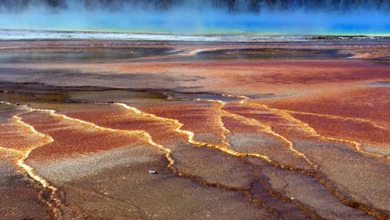Salt Lake City, Amerika [Sewaan Peribadi Khas] Taman Negara Yellowstone - Taman Negara Grand Teton - Lawatan Mendalam