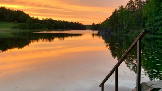 Tyresta Nationalpark: Vandring vid solnedgång + Tur- och returtransport + Middag