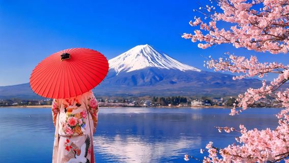 Passeio de um dia para o Monte Fuji em Tóquio, Oito Lagos de Oshino, Outlet Gotemba ou Onsen por conta própria