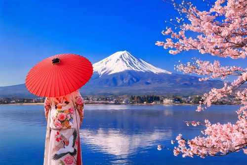 東京富士山五合目,忍野八海,御殿場奧萊或自費溫泉一日遊