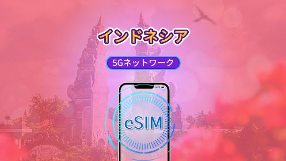インドネシア | 4G/5G eSIM | 日次パッケージ/データパッケージ | 24時間課金 | 1-30 日数選択可能 | QRコード
