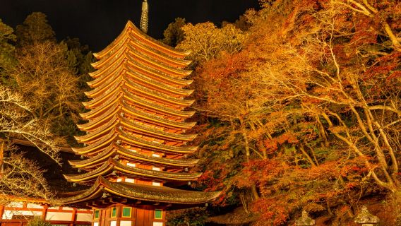 [Guaranteed Departure] Nara Park + Akame 48 Waterfalls + Tanzan Shrine Day Tour from Osaka