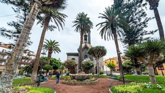 Teneriffa: Tour mit Nationalpark Teide und Mittagessen