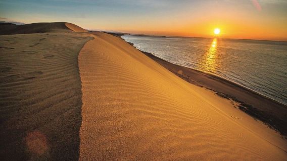 Lawatan sehari sewaan peribadi Bandar Conan Tottori · Gurun Pasir Tottori (Berlepas dari Osaka)