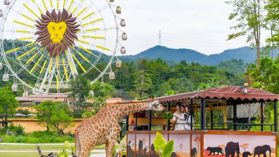 Passeio privativo de um dia em Qingyuan: Reino Florestal Chimelong + Desfiladeiro Gulong com busca em domicílio (ingressos por conta do cliente)