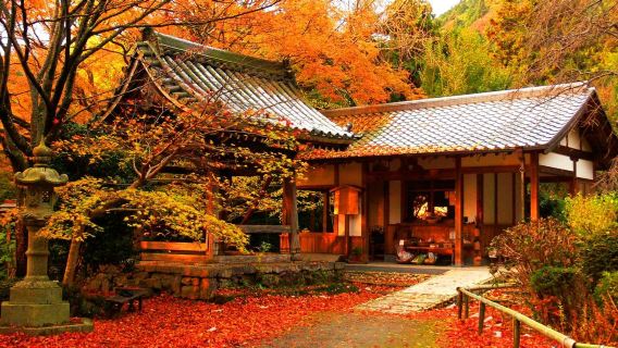 大阪來回-金閣寺-祇園 -伏見稻荷+清水寺包車，行程可調