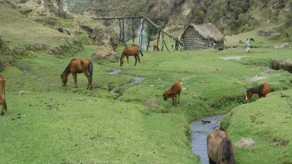 Addis Ababa Wenchi Crater Lake Day Trip with Boat Ride