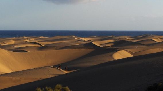 E-Bike Family: CitySightseeing Maspalomas Dunes,Playa Ingles