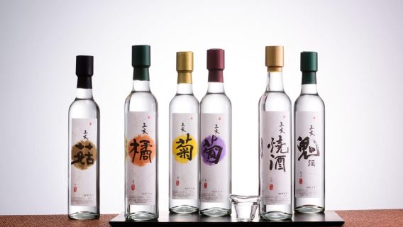 Degustazione di Soju in Distilleria - Storia dei 3 maiali