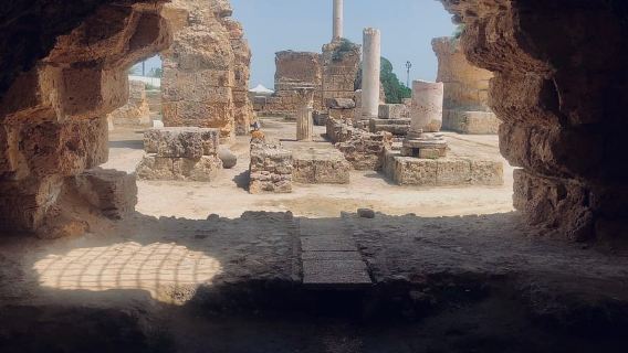 تونس: جولة إرشادية في المسرح الروماني بقرطاج والفيلات والحمامات