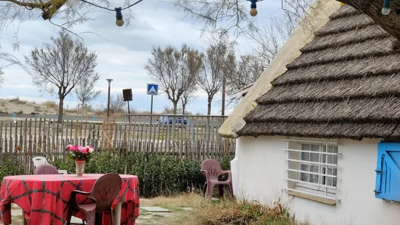 Camargue, its secrets and its magic: an exclusive tour