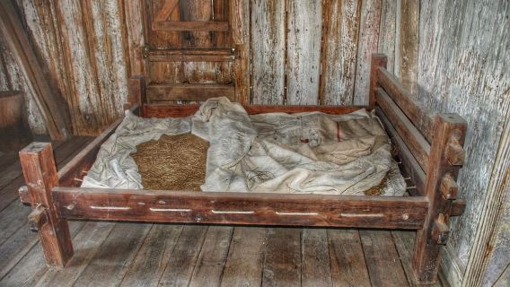 New Orleans: Whitney Plantation Tour with Transportation