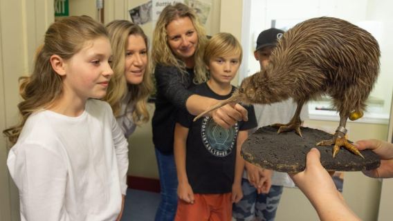Franz Josef: Kiwi VIP Backstage Pass Tour -Booking Essential