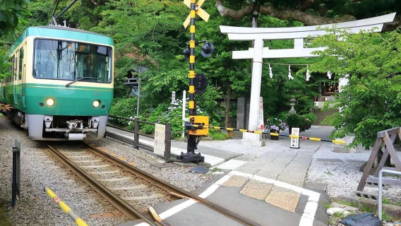 日本東京周邊包車定製遊|鎌倉古蹟湘南海岸+橫濱紅磚倉庫一日&