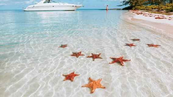 Cayman: Starfish Point, Stingray City and Coral Gardens