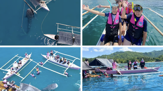 Boracay: Libertad Whale Shark Watching with Snorkeling Gear (4 Different Packages)