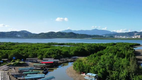 私家團·半日遊｜鹽洲島紅樹林出海捕魚+海釣+觀鳥+海鮮晚餐