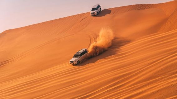 Doha: Private Wüstensafari – VIP-4x4, Falke und Kamelritt inklusive, Inlandsee