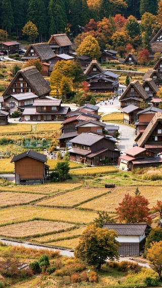Optional 2 pickup points | Shirakawa-go gassho village + Hida Takayama + pure fun 1-day tour