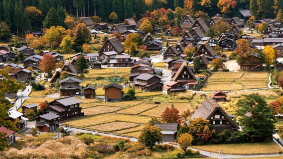 2 İstasyonda Biniş Seçeneği | Shirakawa-go Gassho Köyü + Hida Takayama + Sadece Gezi Günübirlik Turu