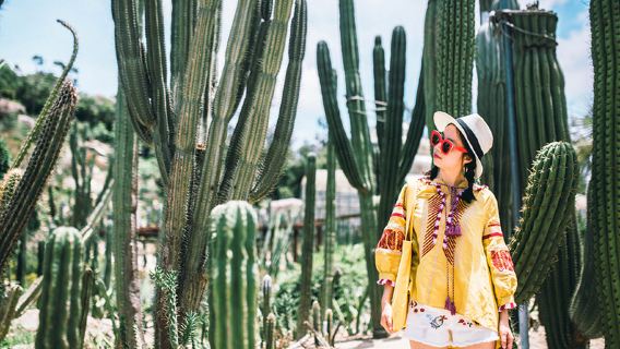 您的專屬導遊 廈門鼓浪嶼集美學村環島路南普陀寺 時間可選 專業導覽服務