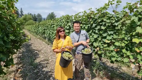 Kakheti - Small wineries and family-cooked lunch • Private tour