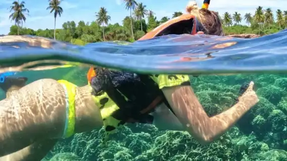 ทัวร์ครึ่งวันดำน้ำตื้นที่ปะการังฟูก๊วก [กลุ่มเล็ก 10 คน+บริการรับส่งโรงแรม+ดำน้ำตื้น 2 ครั้ง]