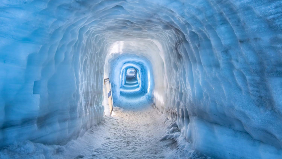 ReykjavikExperiences