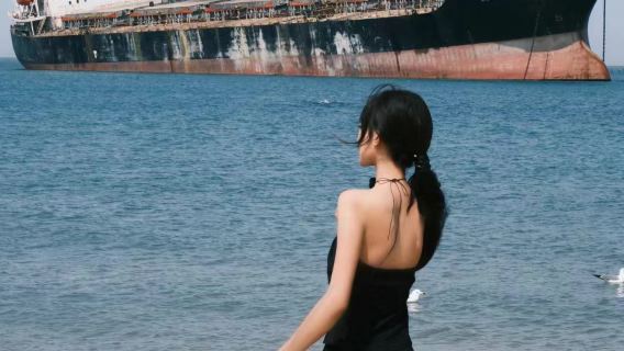 【半日榮成遊威海市內接】布魯維斯+孤獨公約+天鵝湖+那香海