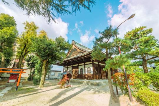 One-day trip to Ryoanji Temple + Chionji Temple + Ginkakuji Temple + Heian Shrine in Kyoto