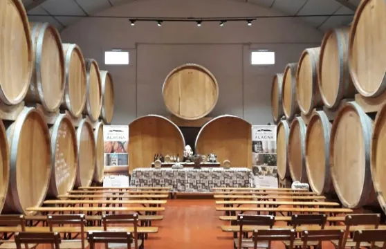 在馬爾薩拉的歷史悠久的Alagna酒窖品酒