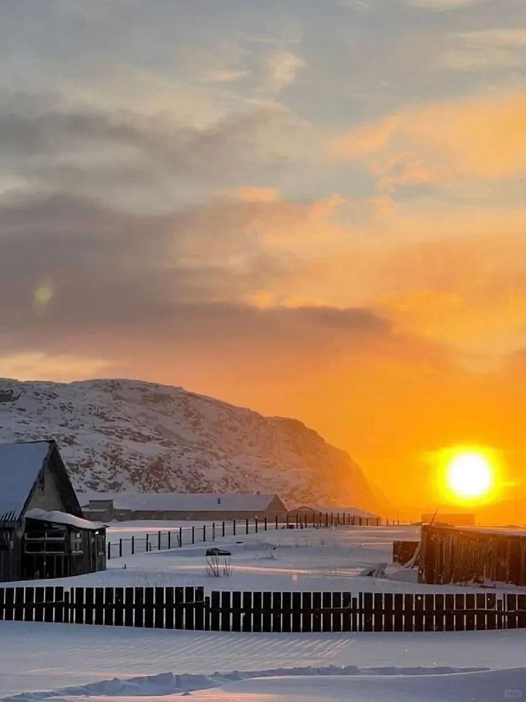 摩爾曼斯克一日遊【摩爾曼尋獵極光/新老捷里遊覽/追鯨/包車遊