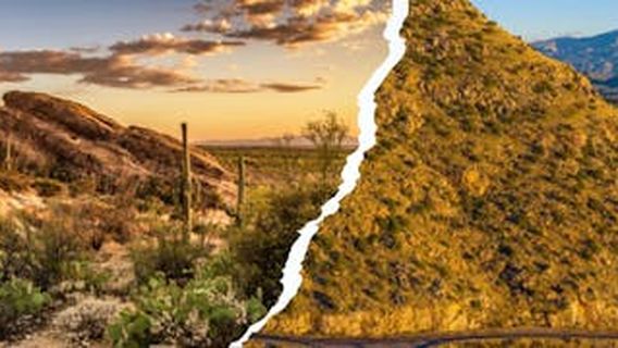 Tucson