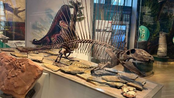 Ripley's Aquarium of Canada + Gooderham Building + St. Lawrence Market one-day tour with English and Chinese Service