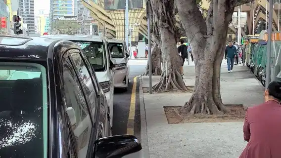 Macau to Shenzhen Cross-border Business Car Ticket