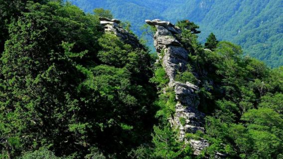 Lawatan Sehari Taman Negara Zhuque | Puncak Indah/Lautan Awan Menakjubkan [Bas Ekspres Pergi-Balik]