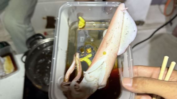 【陵水夜釣魷魚5小時】10人內小團 現釣現吃 船長免費加工 裝備配齊 專業釣魚艇