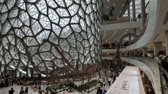 Shanghai Natural History Museum + Sihang Warehouse Anti-Japanese War Memorial venue 1 day tour Summer Family Tour