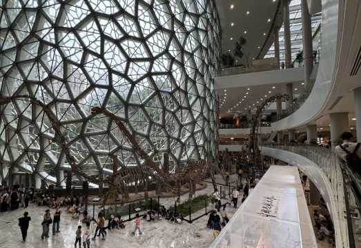 Shanghai Natural History Museum + Sihang Warehouse Anti-Japanese War Memorial Hall Day Tour: Indoor Venue Summer Family Fun
