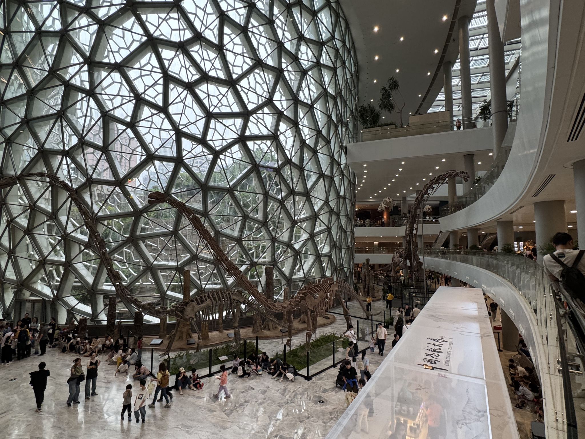 Shanghai Natural History Museum + Sihang Warehouse Anti-Japanese War Memorial Hall Day Tour: Indoor Venue Summer Family Fun