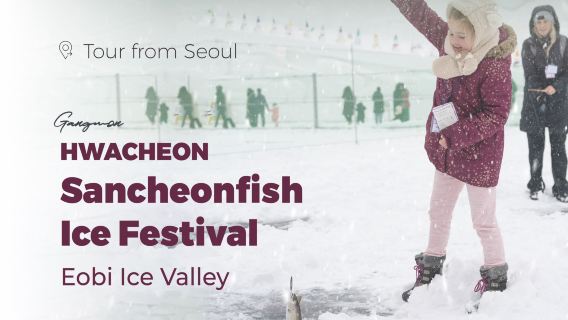 Da Seul: Pesca sul ghiaccio al festival della trota di montagna di Hwacheon (+ Fish Fly Valley)